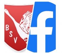BSV@Facebook